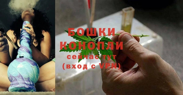 ГАЛЛЮЦИНОГЕННЫЕ ГРИБЫ Белоозёрский