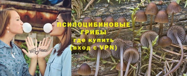 jwh Белокуриха