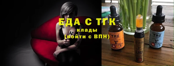 гидра Няндома