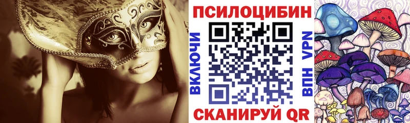 наркотики  Кстово  Псилоцибиновые грибы MAGIC MUSHROOMS 
